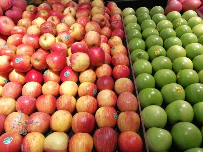 水果,奶制品,蔬菜,水产品,食糖平均零售价格上涨;食盐,粮食